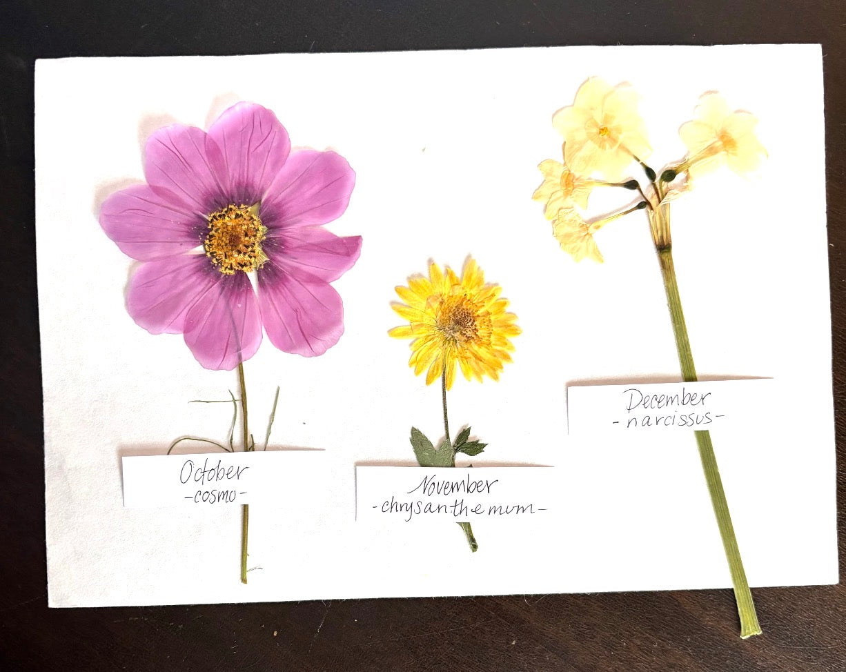 Mother’s Day Birth Flower Frame