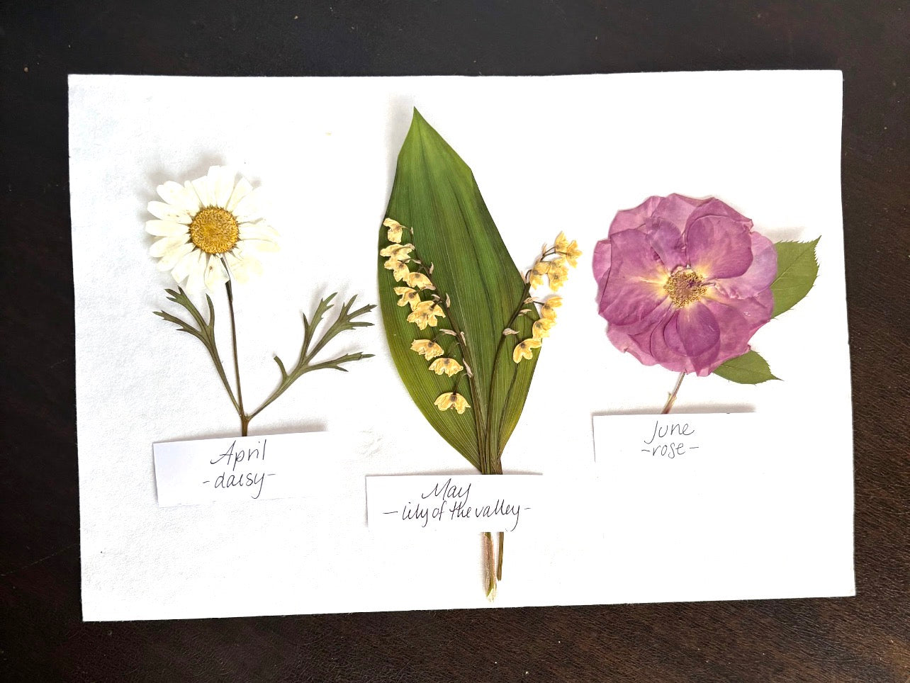 Mother’s Day Birth Flower Frame