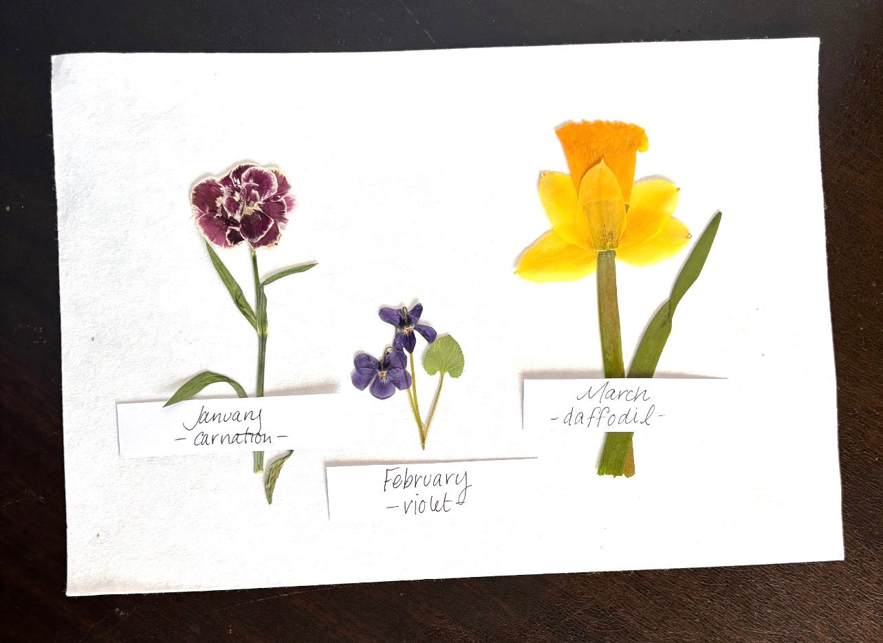 Mother’s Day Birth Flower Frame