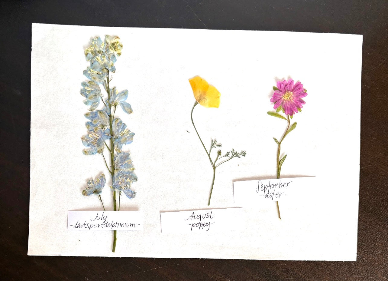 Mother’s Day Birth Flower Frame