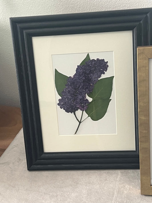 Custom Lilac frames (5)