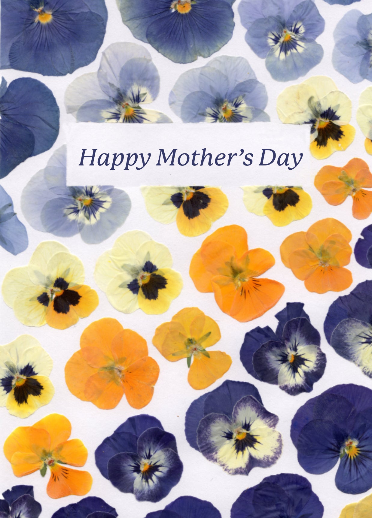 Mother’s Day 11x14 Garden Preservation